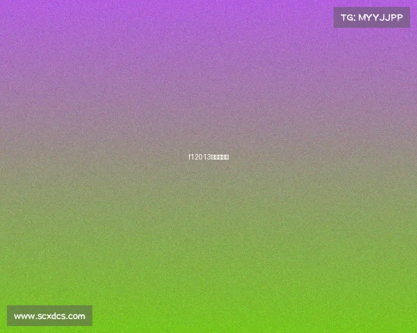 f12013中国站正赛