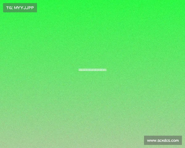 中甲联赛赛事编排—中甲联赛赛事编排图