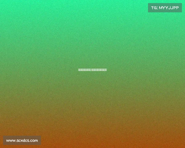 乒乓当前最新赛事;乒乓当前最新赛事排名