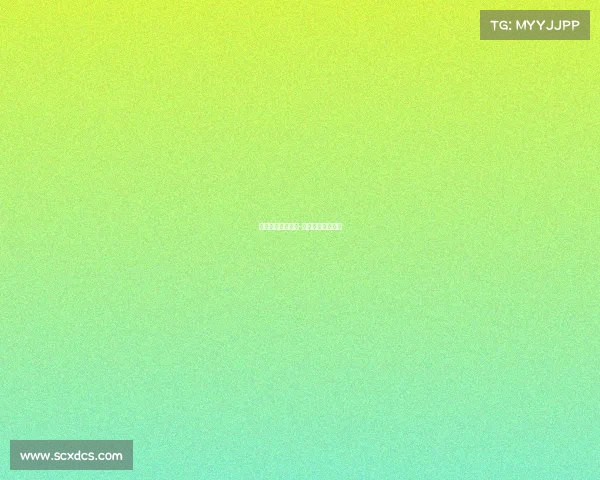 篮球比赛赛事分析-篮球比赛分析报告