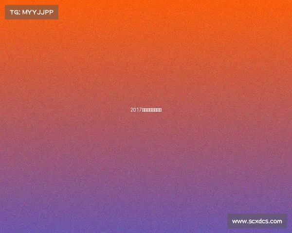 2017羽毛球中国公开赛