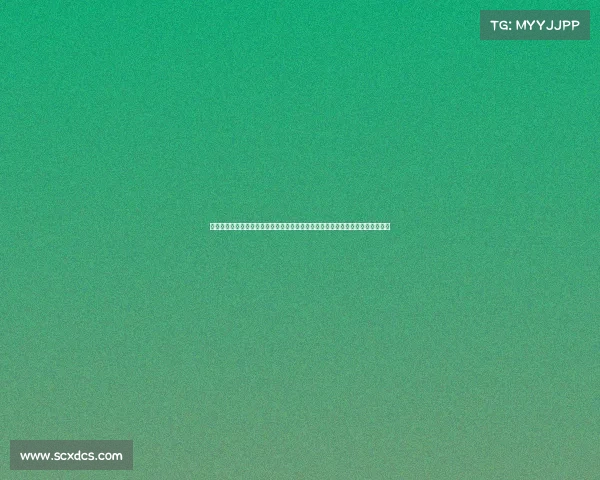 乔氏国际台球锦标赛裁判中心专题探索裁判员在关键赛事中的权威角色与管理技巧