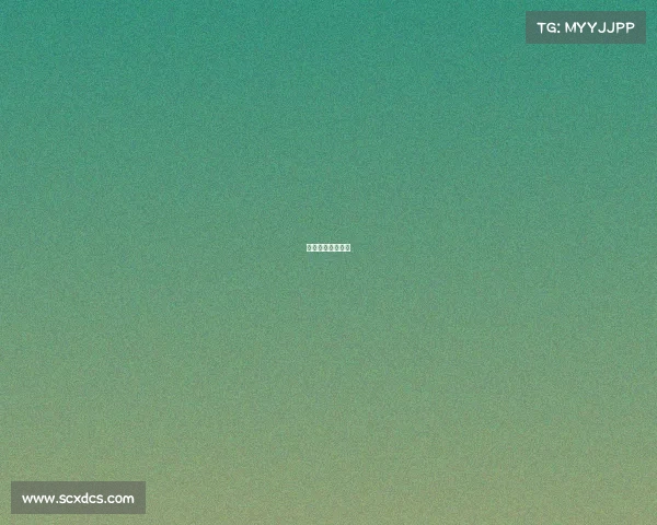 体育赛事市场开发