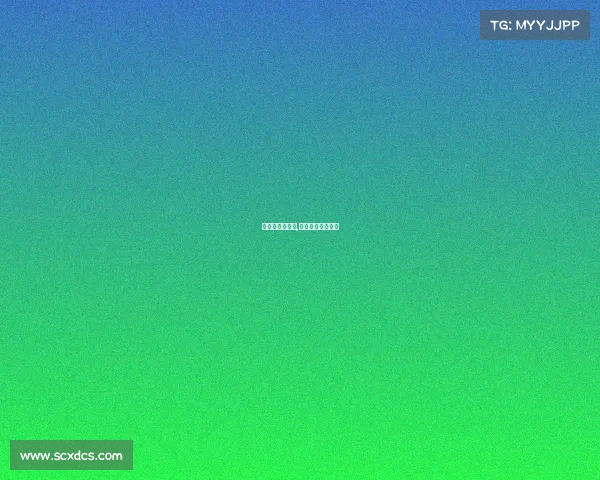 历届全明星赛事,历届全明星赛比分