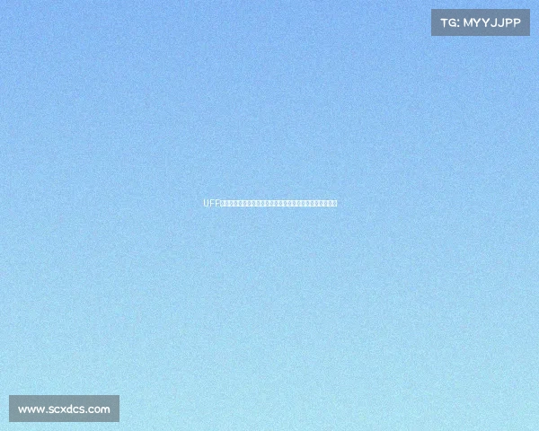 UFF赛事价值深度剖析经济驱动文化传承与社会贡献的多维融合