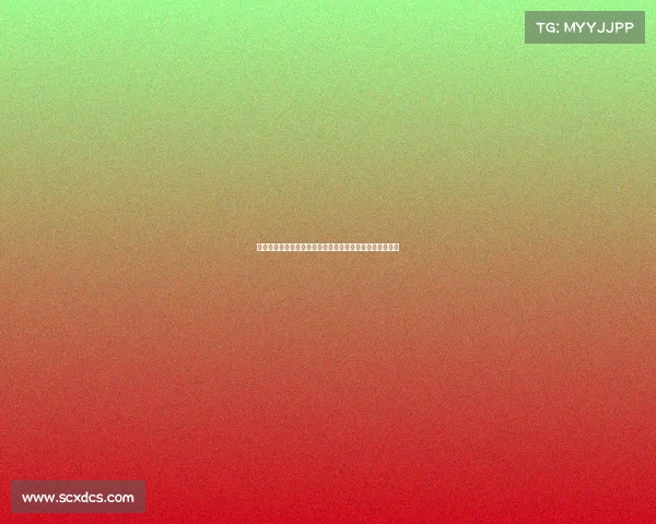 二零二四全球英语赛事巅峰盛会挑战无限潜能共创语言辉煌